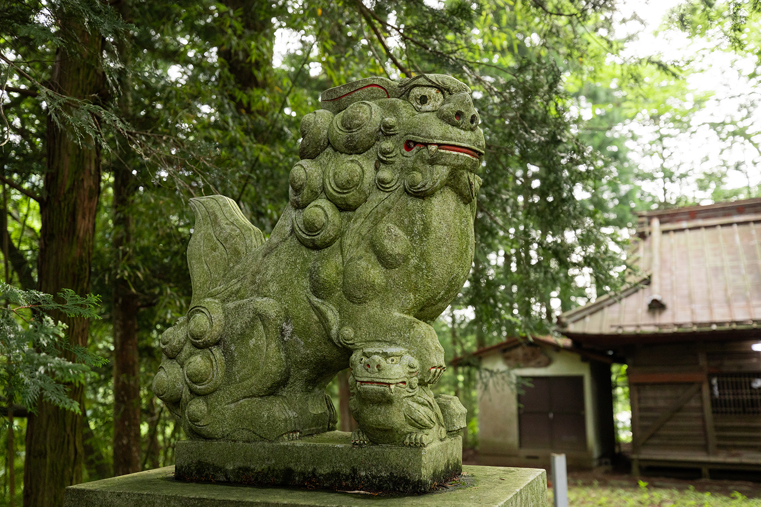 芦川の風景